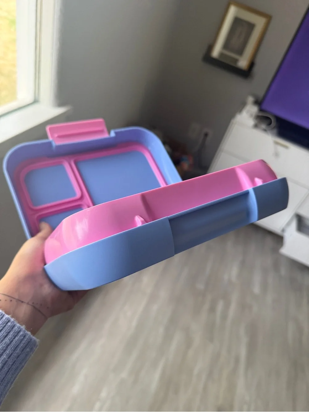 Bentgo cute bento